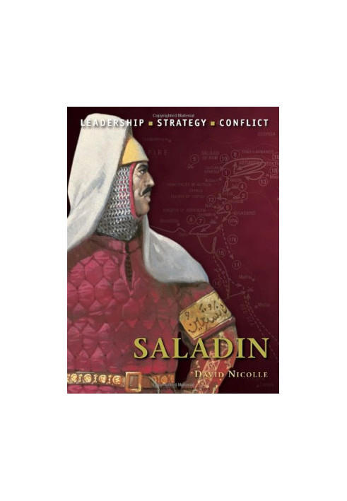 Saladin: The Background, Strategies, Tactics and Battlefield Experiences of the Greatest Commanders of History (Command 12)