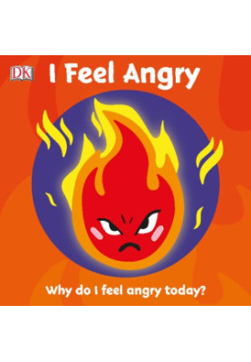 I Feel Angry: Why do I feel angry today?