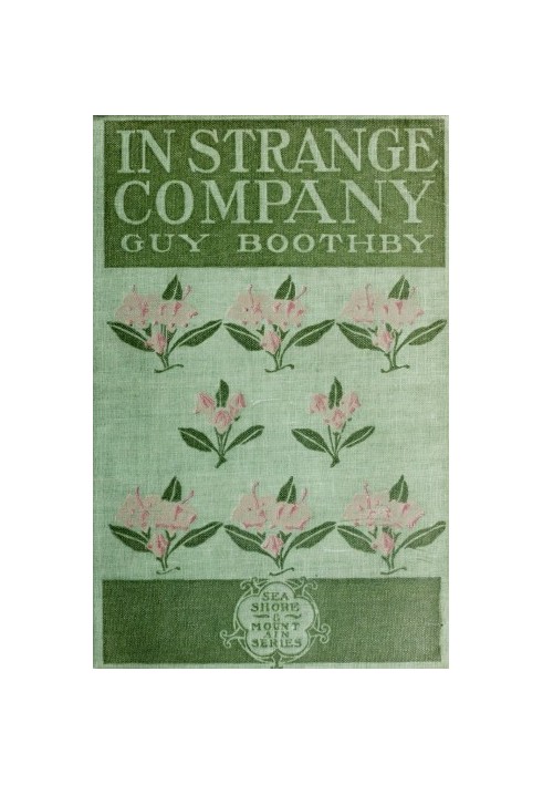 In Strange Company: A Story of Chili and the Southern Seas