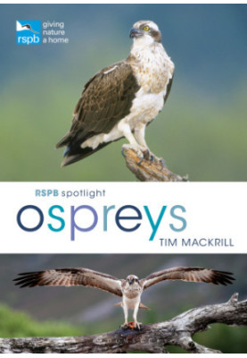 RSPB Spotlight Ospreys