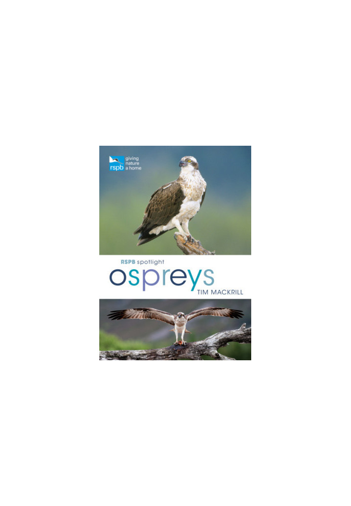 RSPB Spotlight Ospreys