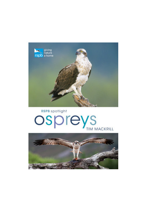 RSPB Spotlight Ospreys