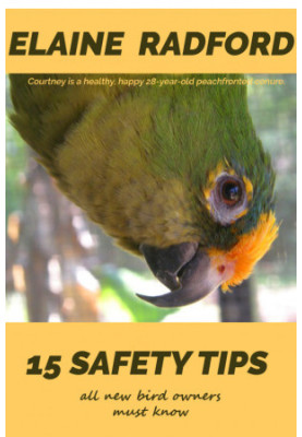 15 Safety Tips All New Bird Owners Must Know