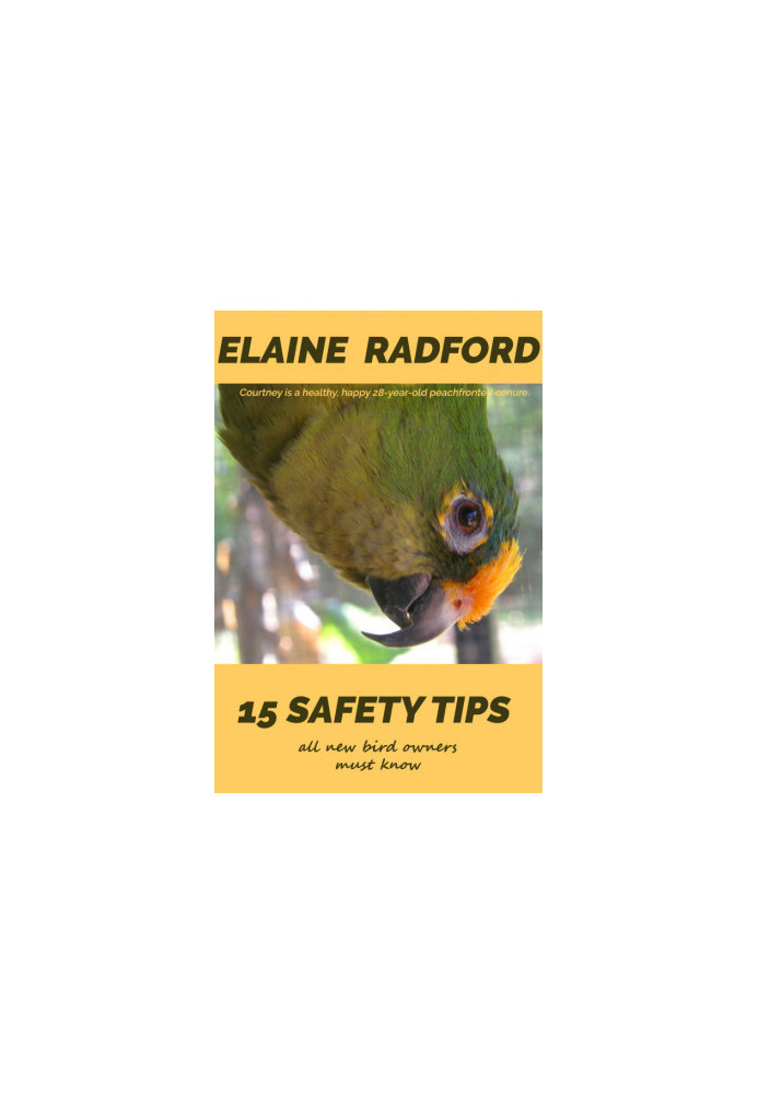 15 Safety Tips All New Bird Owners Must Know