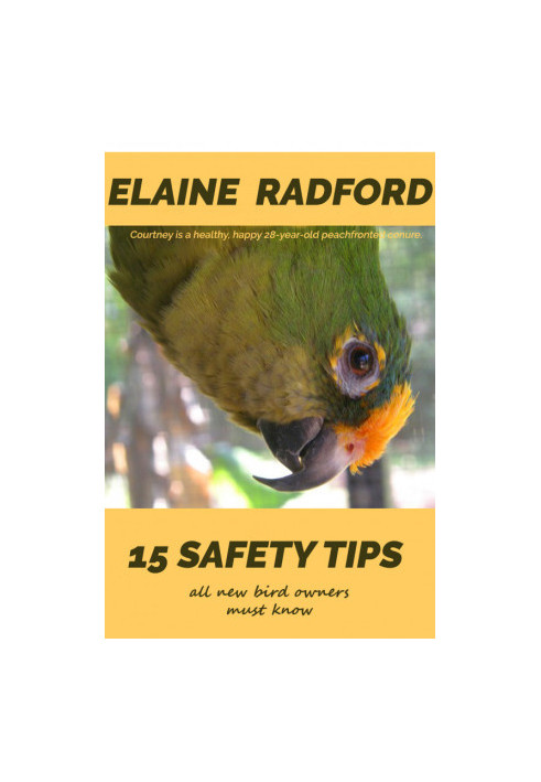 15 Safety Tips All New Bird Owners Must Know