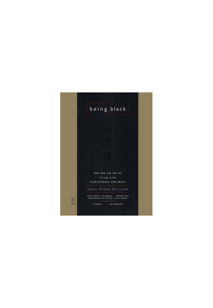 Being black : zen and the art of living with fearlessness and grace