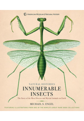 Innumerable Insects The Story of the Most Diverse and Myriad Animals on Earth