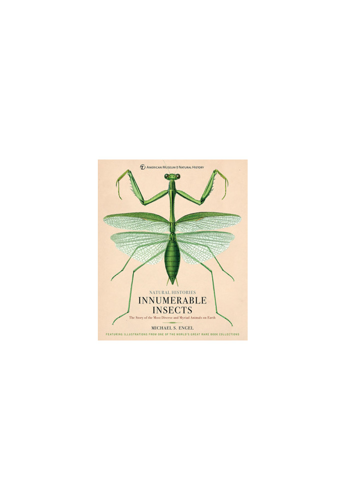 Innumerable Insects The Story of the Most Diverse and Myriad Animals on Earth