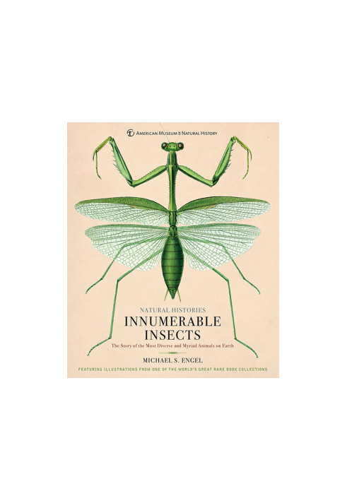 Innumerable Insects The Story of the Most Diverse and Myriad Animals on Earth