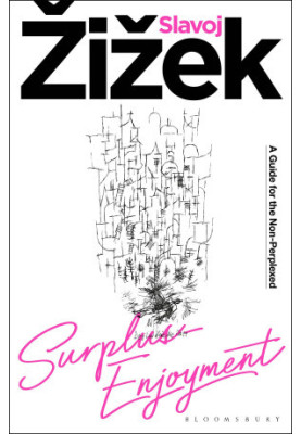 Surplus-Enjoyment