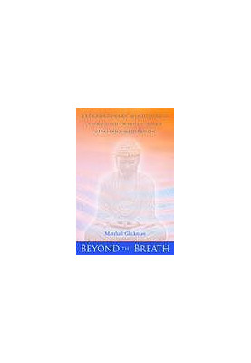 Beyond the breath : extraordinary mindfulness through whole-body Vipassana meditation