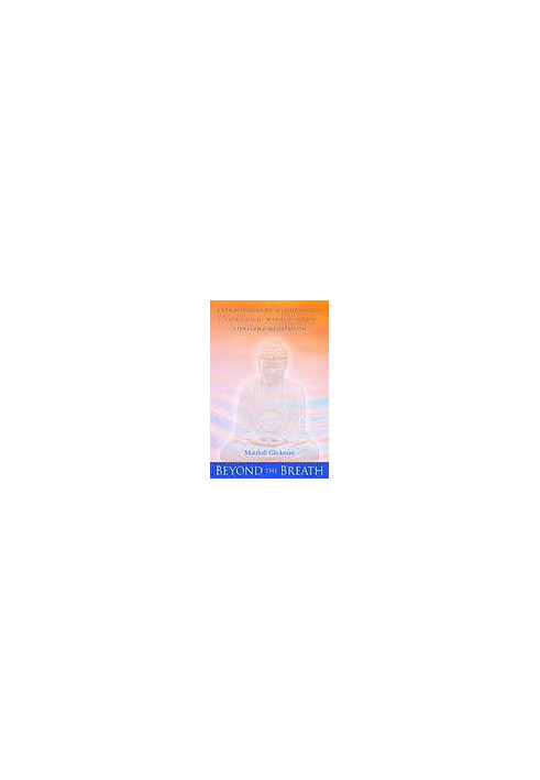 Beyond the breath : extraordinary mindfulness through whole-body Vipassana meditation