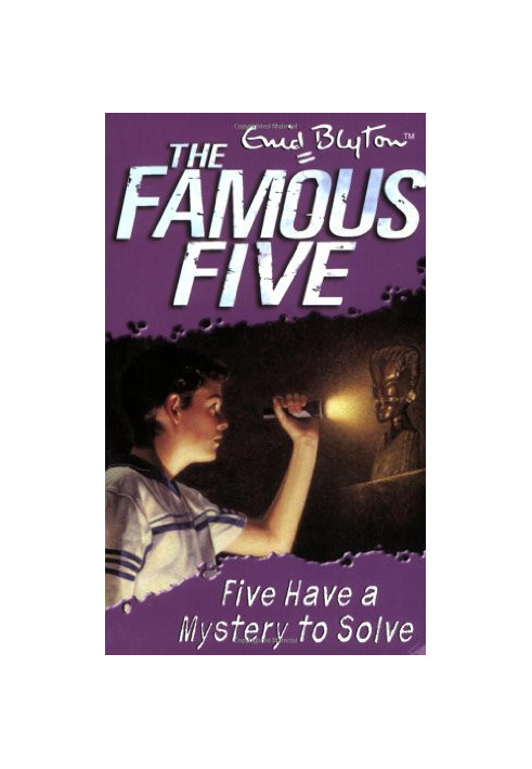 Five Have a Mystery to Solve