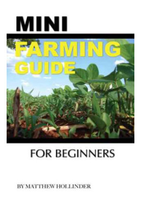Mini Farming Guide For Beginners