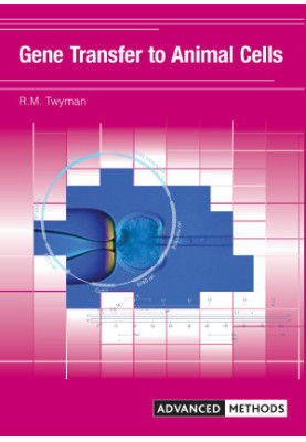 GENE TRANSFER TO ANIMAL CELLS