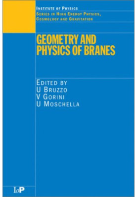 Geometry and physics of branes