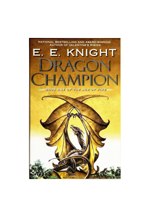 Dragon Champion