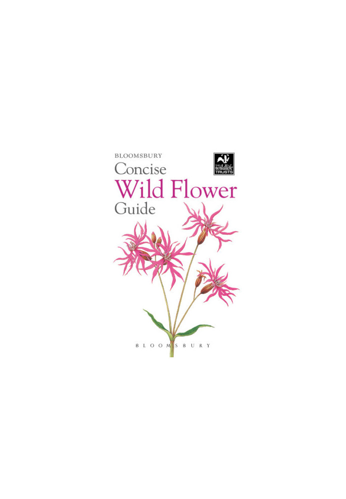 Concise Wild Flower Guide