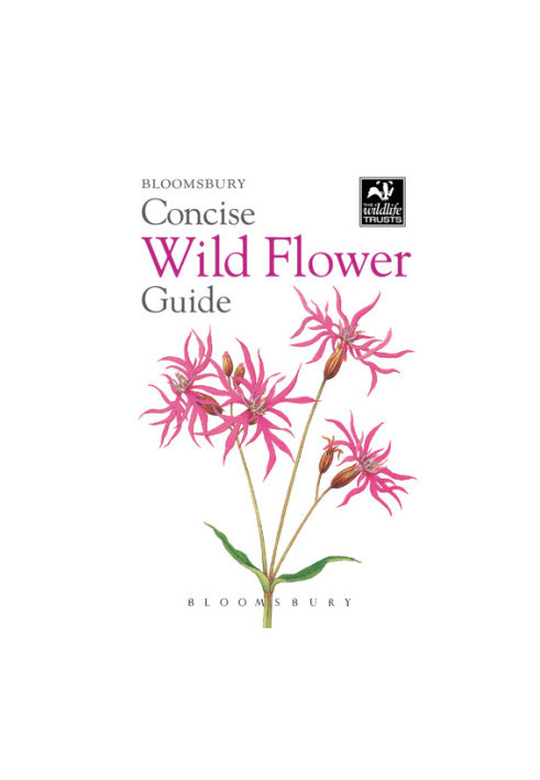 Concise Wild Flower Guide