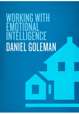 Working With Emotional Intelligence