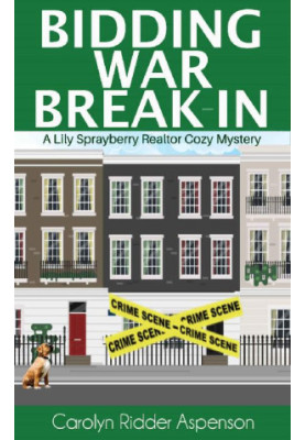 Bidding War Break-In (Lily Sprayberry Realtor Cozy Mystery 4)