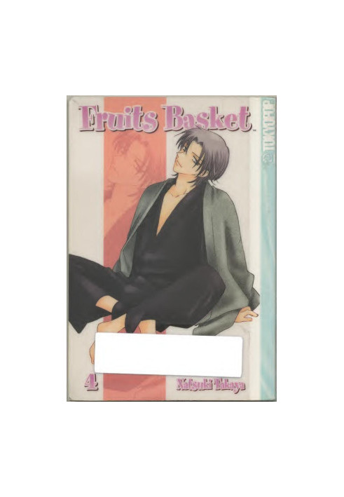 Fruits Basket V04