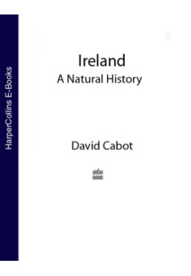 Ireland