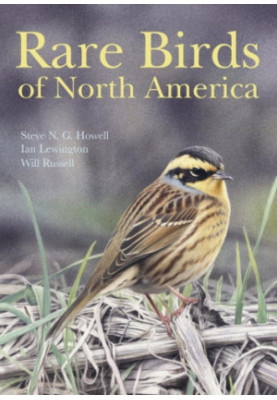 Rare Birds of North America