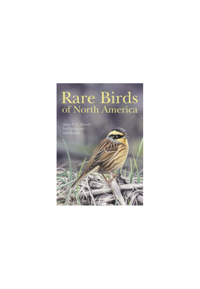 Rare Birds of North America