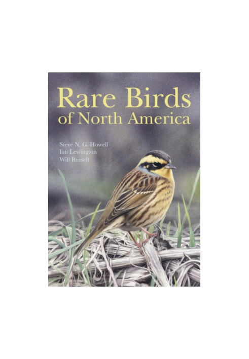 Rare Birds of North America