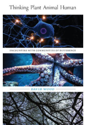 Thinking Plant Animal Human: Encounters with Communities of Difference