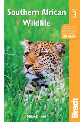 Southern African Wildlife
