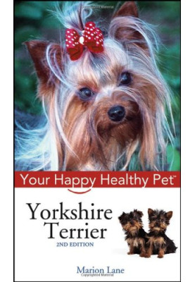 Yorkshire Terrier.