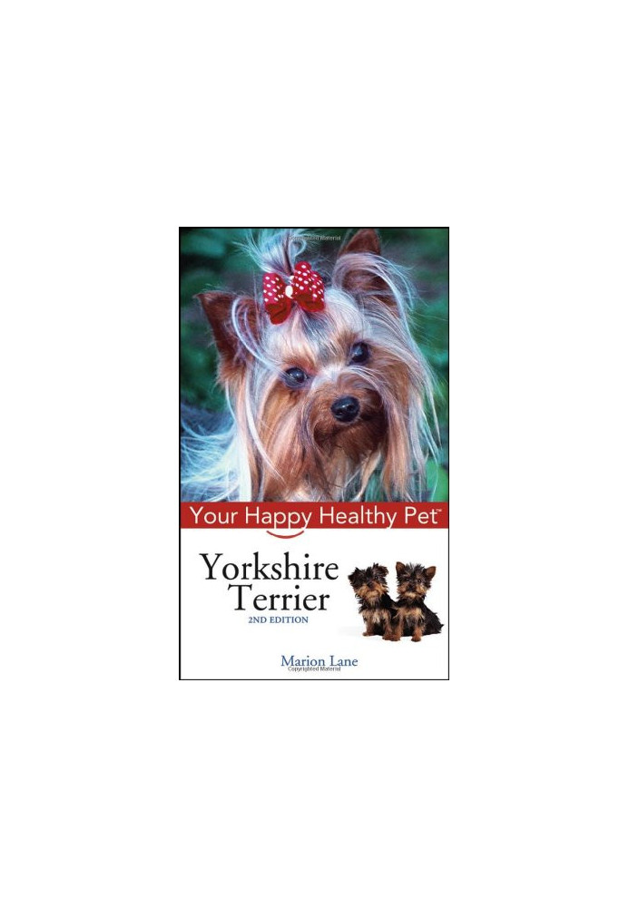 Yorkshire Terrier.