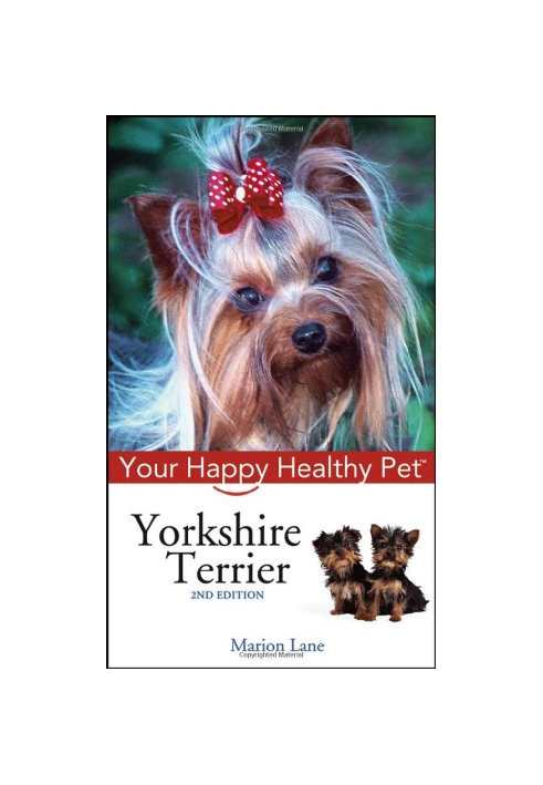 Yorkshire Terrier.