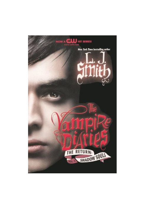 The Vampire Diaries The Return Shadow