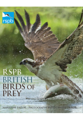 RSPB British Birds of Prey