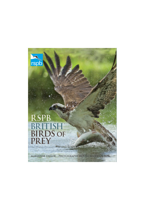 RSPB British Birds of Prey