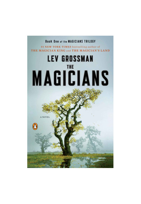 The Magicians: A Novel