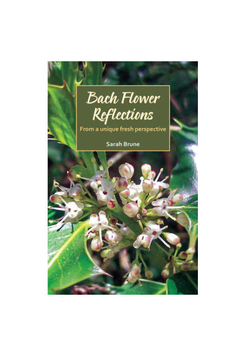 Bach Flower Reflections: From a unique fresh perspective