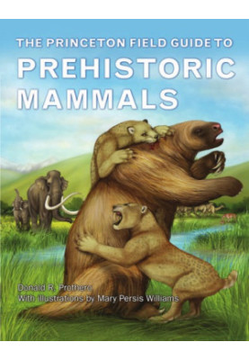The Princeton Field Guide to Prehistoric Mammals
