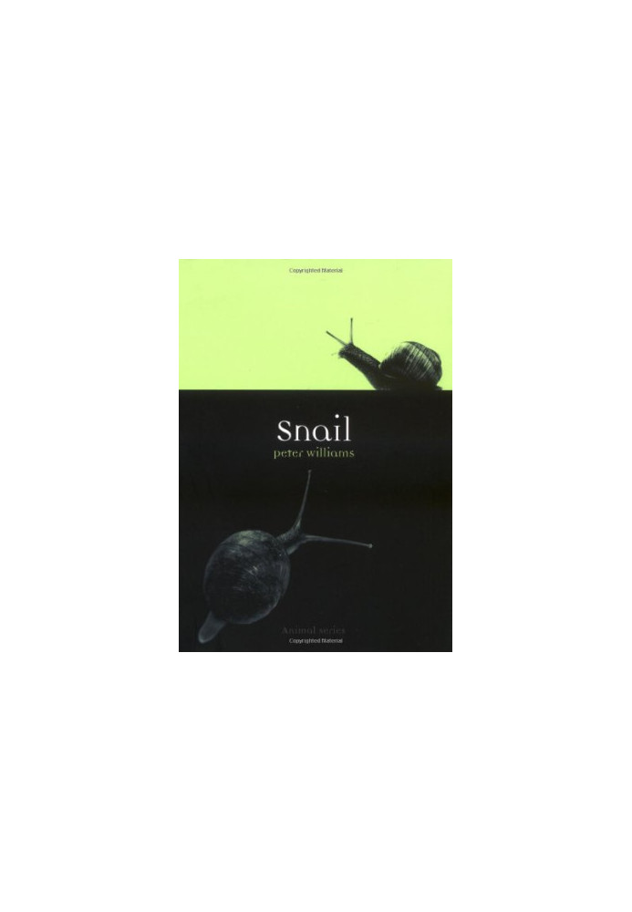 Snail