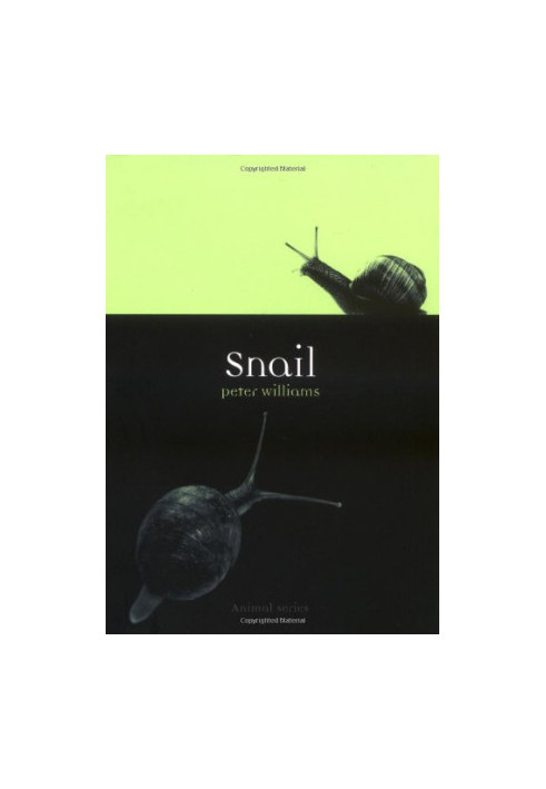 Snail