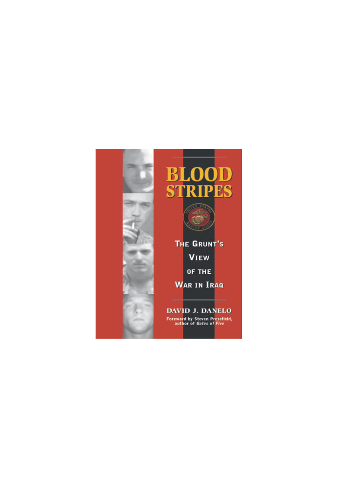 Blood stripes: the grunt's view of the war in Iraq