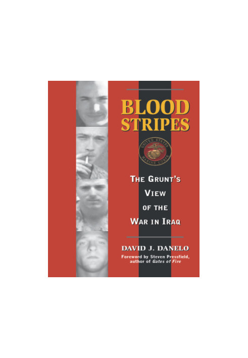 Blood stripes: the grunt's view of the war in Iraq
