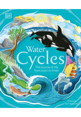 Water Cycles • The Source of Life from Start to Finish