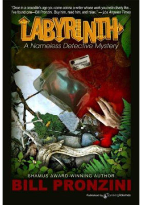 Labyrinth (Nameless Detective 6)