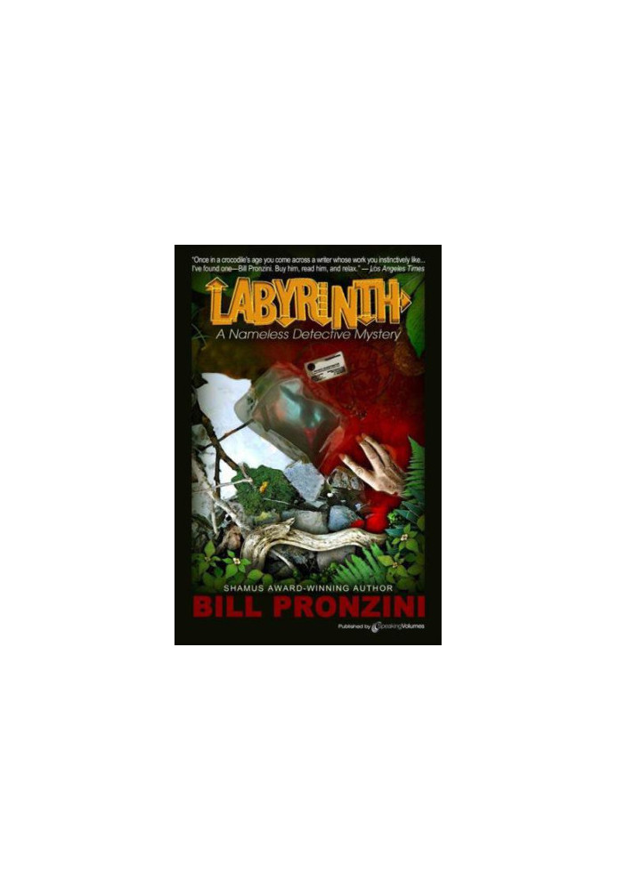 Labyrinth (Nameless Detective 6)