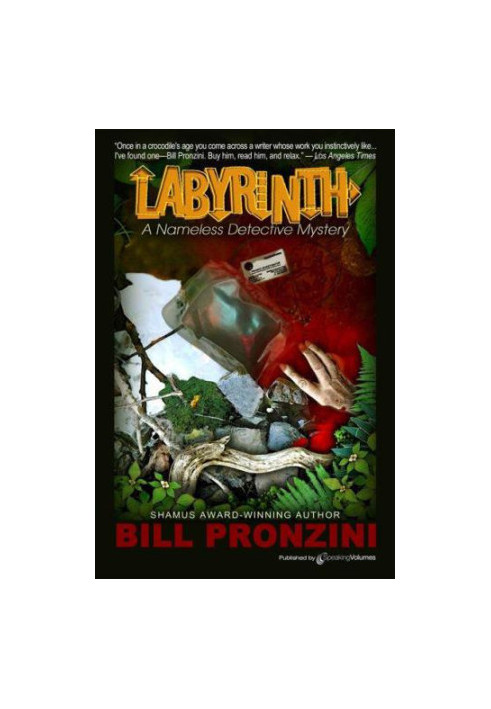 Labyrinth (Nameless Detective 6)