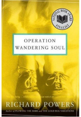 Operation Wandering Soul